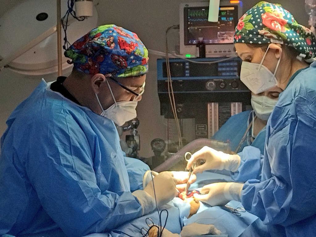 marcos_mavare's tweet photo. #LaCosaEsCumpliendo 
Oscar Navas, director del #HULRBna destacó que el sábado #11FEB continúa la II etapa de jornada quirúrgica pediátrica en el hospital tipo I Dr. Rafael Rangel de Aragua de Barcelona para totalizar 70 pacientes beneficiados https://t.co/w1icsAq4Tq https://t.co/uO5nHhthbF