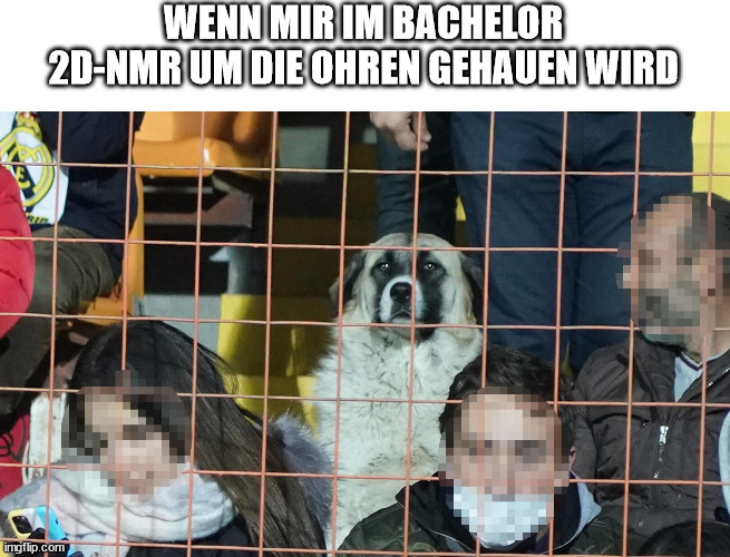 #chemie #lebensmittelchemie #lebensmittel #lemi #kit #ka #karlsruhe #karlsruhecity #bw #uni #studium #study #lmc #university #studieren #labor #foodchem #foodchemistry #foodchemical #lab #lernen #meme #chemistrymeme #chemistry #laboratory #laboratorylife #chemistry