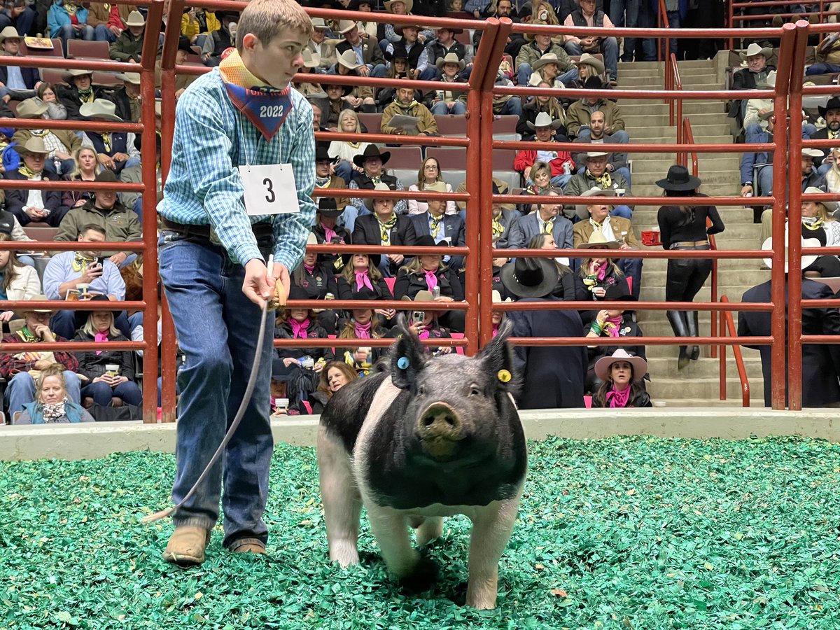 fwssr's tweet photo. Grand Champion barrow sells for $100,000 to Standard Meat Company. Congratulations to Kaden Mason from Montgomery 4-H. https://t.co/fOHISfwQjk