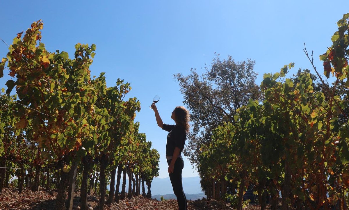 Dineren in de wijngaard: een leuk idee om te geven voor Valentijn? 

Op vrijdag 20 mei en vrijdag 24 juni kook ik een viergangendiner in de Nederlandse wijngaard. 

Lijkt je dit wat?! Aanmelden kan via deze link: onzelokalehelden.com/dineren-tussen…