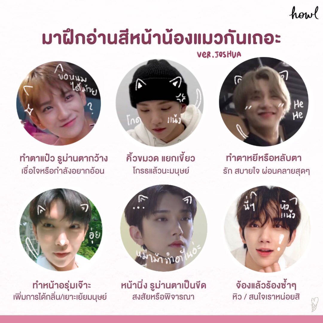 xuzhixiu's tweet photo. มาฝึกอ่านสีหน้าแมวเหมียวฮงจีสุกันเถอะ 🐱 https://t.co/kseRxKeD9O