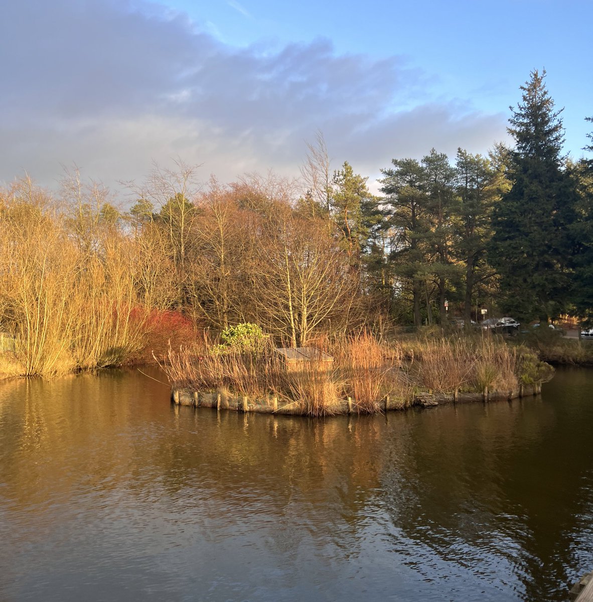 I’ve loved being out the last two weekends for the Bronze Navigation Award training. Even if it was a bit rainy and windy. 🍂