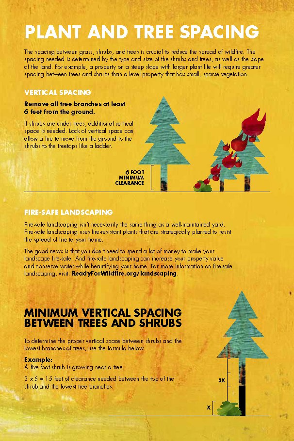 FireSafeTrinity's tweet photo. Looking for a weekend project? Work on improving the #DefensibleSpace around your property. Increase the vertical and horizontal space across your property through limbing up your trees and pruning your bushes. #FireSafeFebruary #FireSafeTrinity https://t.co/DMFHxuyLPi