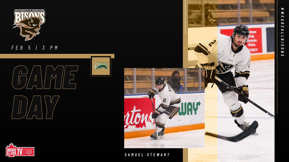 UM Bisons Men's Hockey tweet media