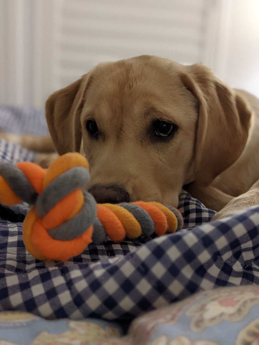 daveDavid_son's tweet photo. @LivingPixelated Friends, family, and dogs! https://t.co/4FMtZ56kqT