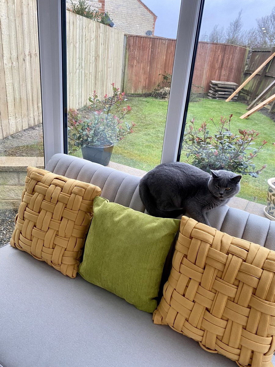 WokChic's tweet photo. Brought soft furnishings, artwork, glass and ceramics from the storage unit yesterday. Even three cushions on the diner bench make a difference 👍 It’s fab getting reacquainted with ‘stuff’ packed away # #Moving #diy #refurbing SusieHouseWatch21to22 https://t.co/SBd7ha1HVh
