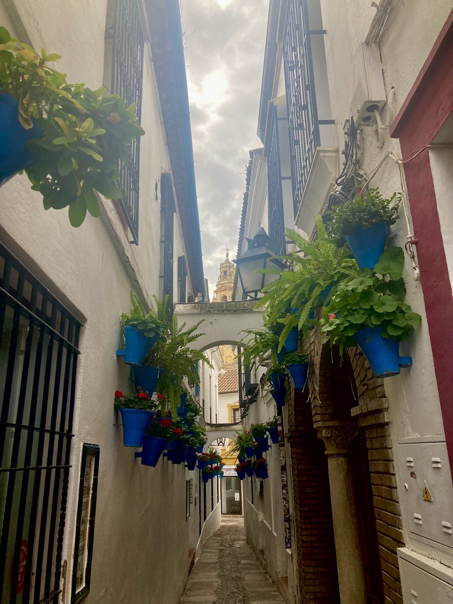 rocioalbm's tweet photo. que suerte ser de córdoba💚 https://t.co/xdA1CXVys1