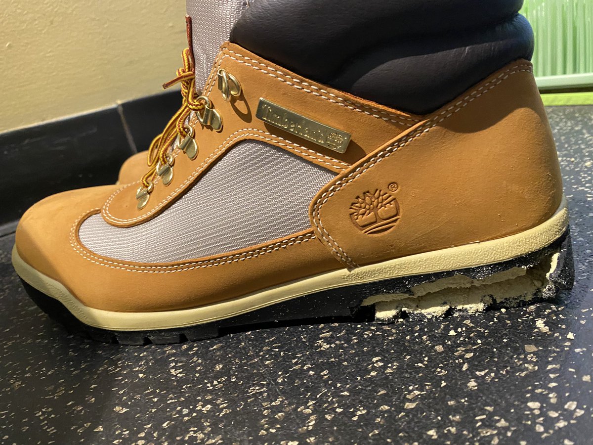 Traci Oshiro tweet media