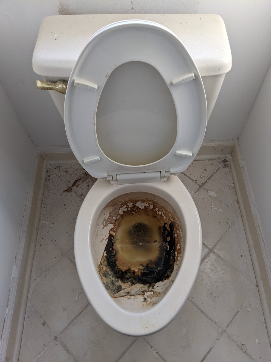 telexghoulie's tweet photo. #pooplog #mypoop https://t.co/v1BMcLhJGe