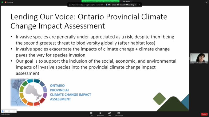 JeffreyFlory1's tweet photo. @LeoDiCaprio Even if we succeed at stopping climate change to save our planet, we will still have mass extinctions around the globe if we do not also stop the continued introductions of non-native and invasive species by the nursery industries and lack of regulations of commerce: https://t.co/JgyGARwl8R