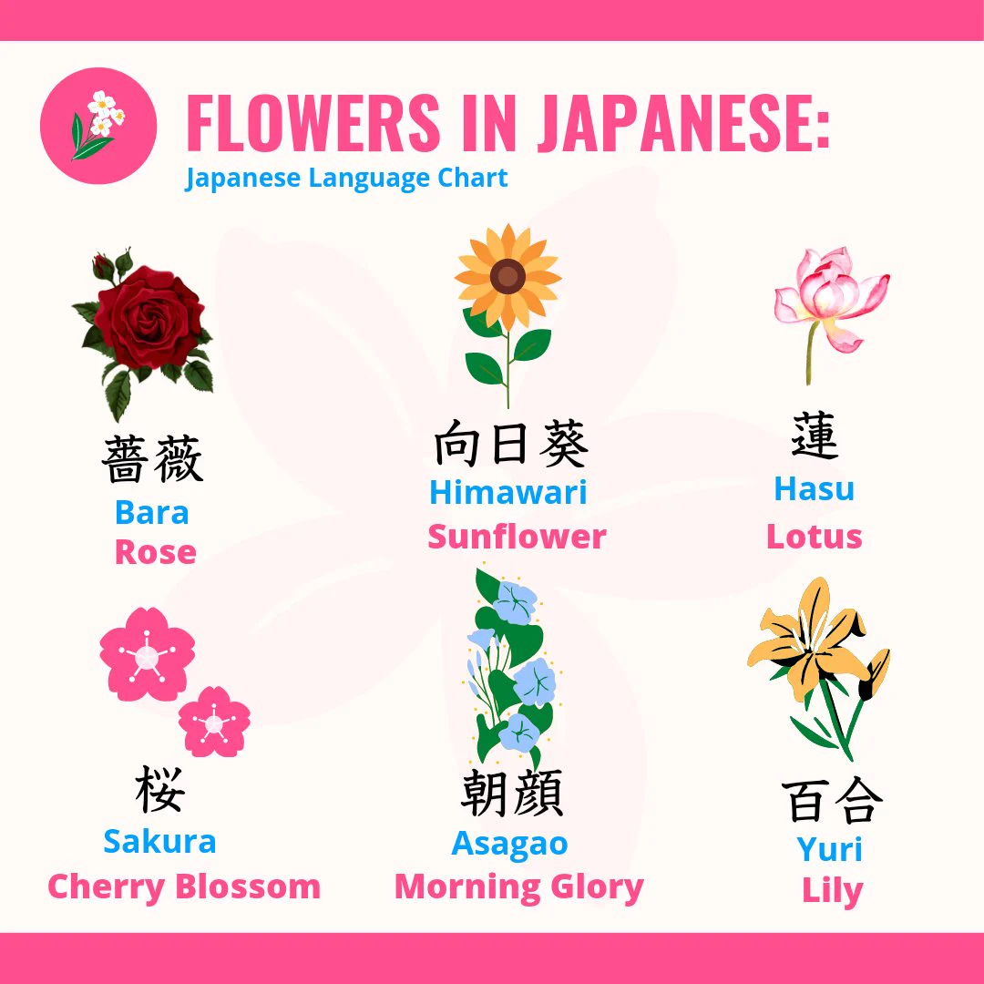 はなまめです(´◡` )♩(7/26) Learning Japanese 🇯🇵 on X: 