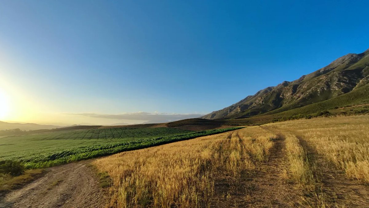 SphereZA's tweet image. This place is insanely beautiful, I'm so coming back ☺️