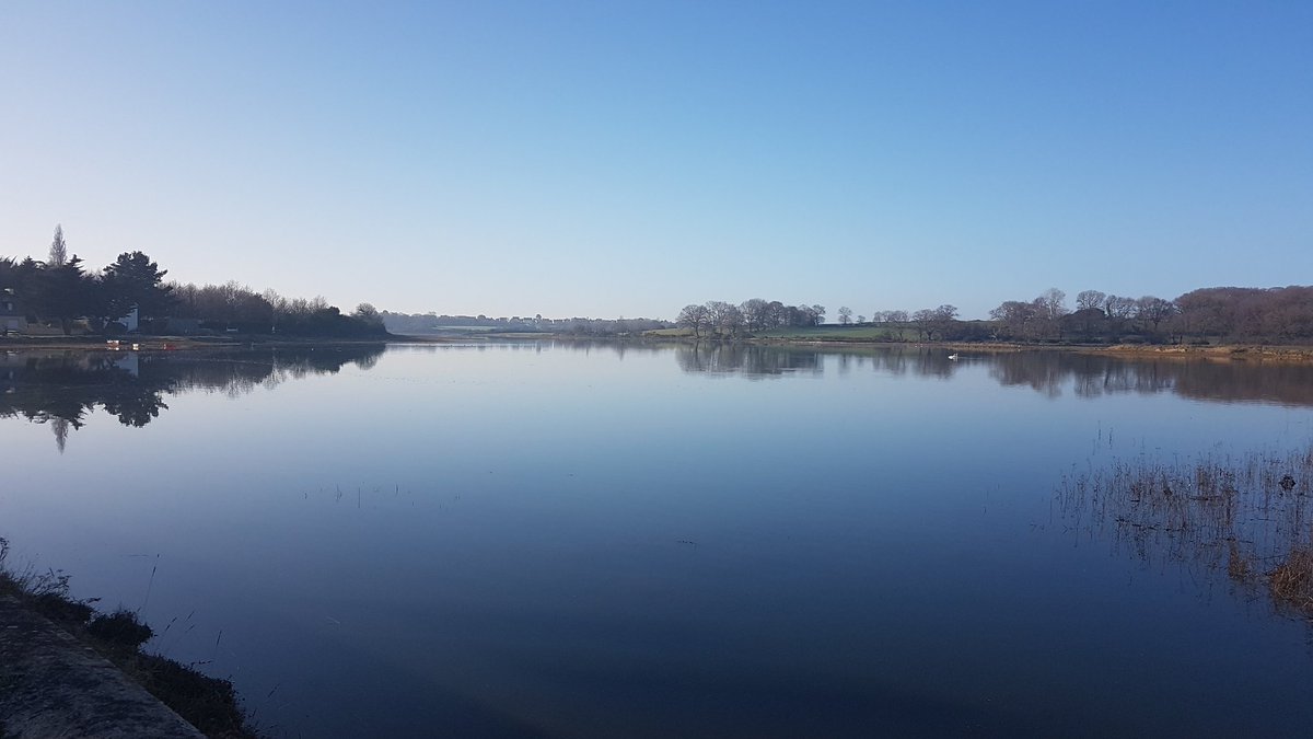 liliroco's tweet photo. Matin calme à Cantizac #séné #golfedumorbihan #bretagne #MagnifiqueBretagne https://t.co/mdReJWS136