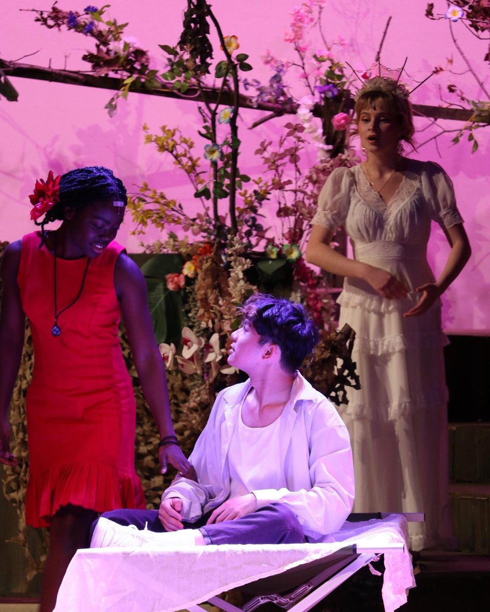 Timberview Theatre 🎭 tweet media