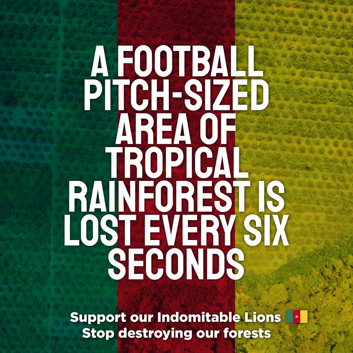 Every 6 seconds, a football pitch worth of tropical rainforest is lost. 80% of species live in tropical rainforests &amp; are disappearing at alarming rates. We love &amp; support soccer, BUT we also need to support &amp; #ProtectOurForests >> act.gp/3lQ3y94 

#AFCON2022 #CAN2022