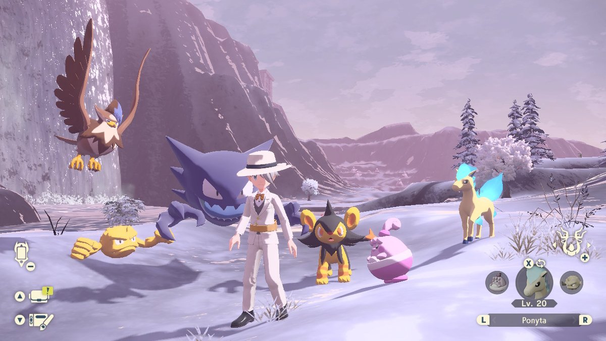 WCOMSwitch's tweet photo. The shinies I have gotten in the first week, epic game https://t.co/GKoZNBPPxh