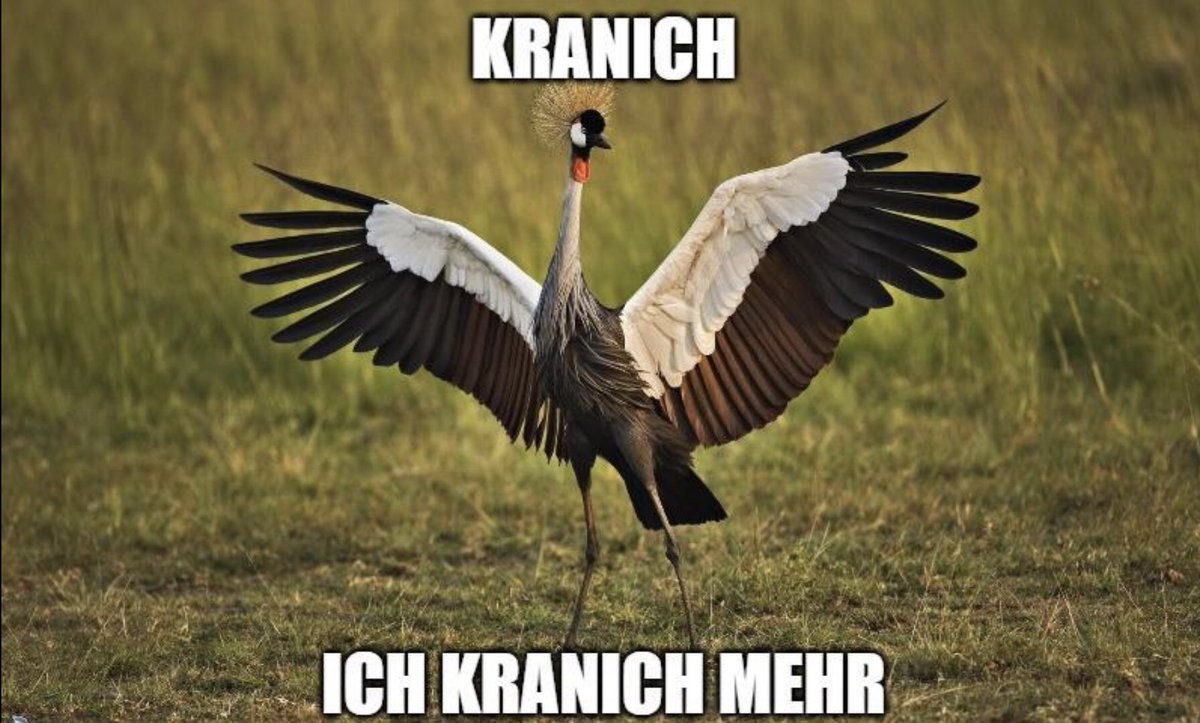 _derTaco_'s tweet photo. @VfB 😑 https://t.co/VHlGFD1MVH