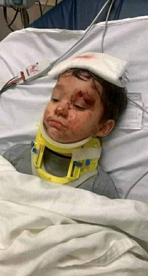 BaantaMaan's tweet photo. وَمَا مِن دَآبَّةٍ فِي الأَرْضِ إِلاَّ عَلَى اللّهِ رِزْقُهَا وَيَعْلَمُ مُسْتَقَرَّهَا 
وَمُسْتَوْدَعَهَا كُلٌّ فِي كِتَابٍ مُّبِينٍ} هود

إن الله عز وجل لم يخلق أي دابة في الأرض إلا وقد قدر لها رزقها، وهو الوحيد العليم بالمكان الذي تعيش به الدابة وبأي أرض سوف تموت.. https://t.co/nGpR0e8KU1