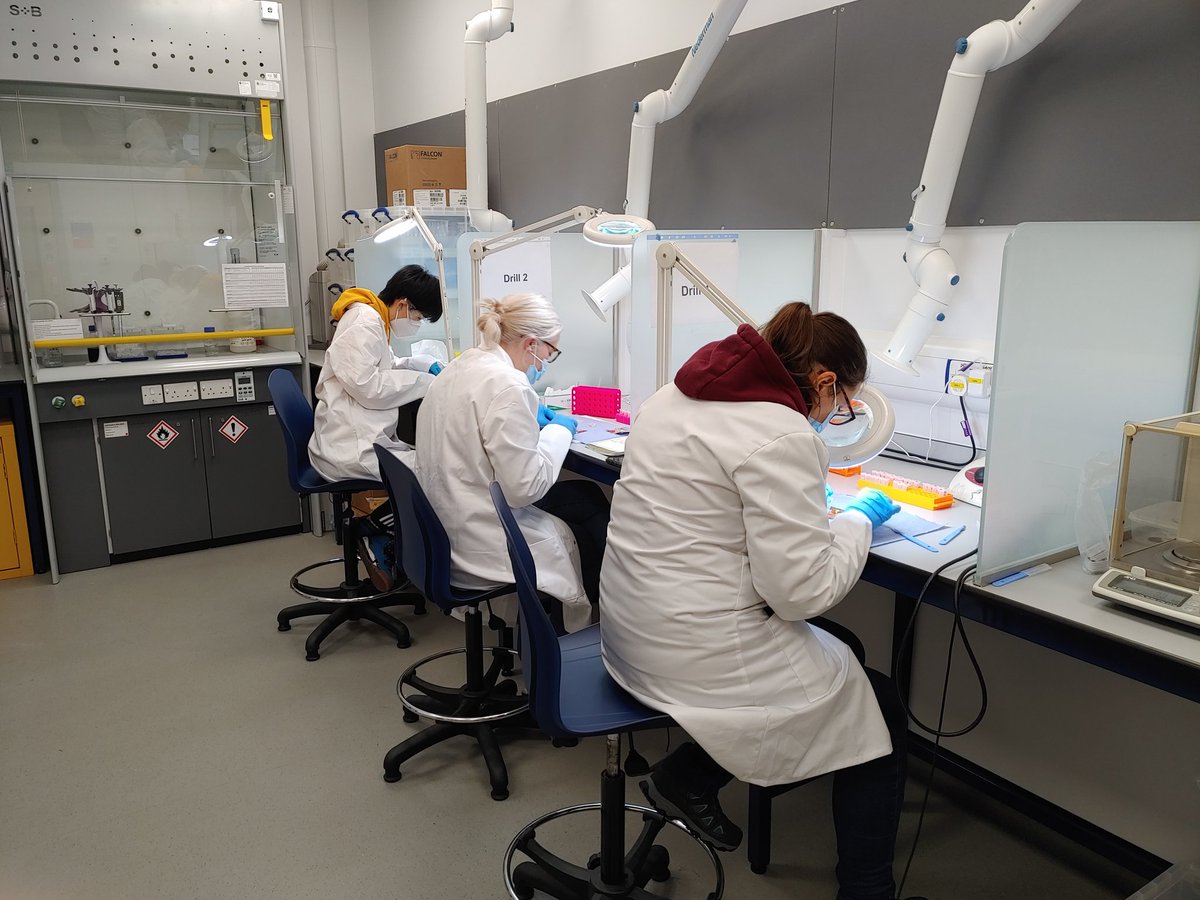 This week we finally got our <a href="/ArcDurham/">Durham Archaeology</a> undergrads back in the isotope prep lab for their Advanced Skills Module practical preparing pig teeth for isotope analysis and they were brilliant - a joy to teach!