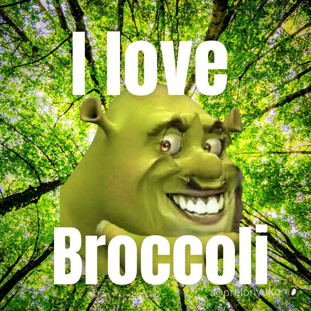 Daily Inspirational Shrek Meme on X: Follow @prelonyuko for more Shrek  memes! Do you love broccoli?💚 #shrekadventure #funniestmemesever #funvibes  #memevibes #memeoftheyear #shrekmemesdaily #funnycontent #trynottolaugh  #justfun #igmeme #memesofig