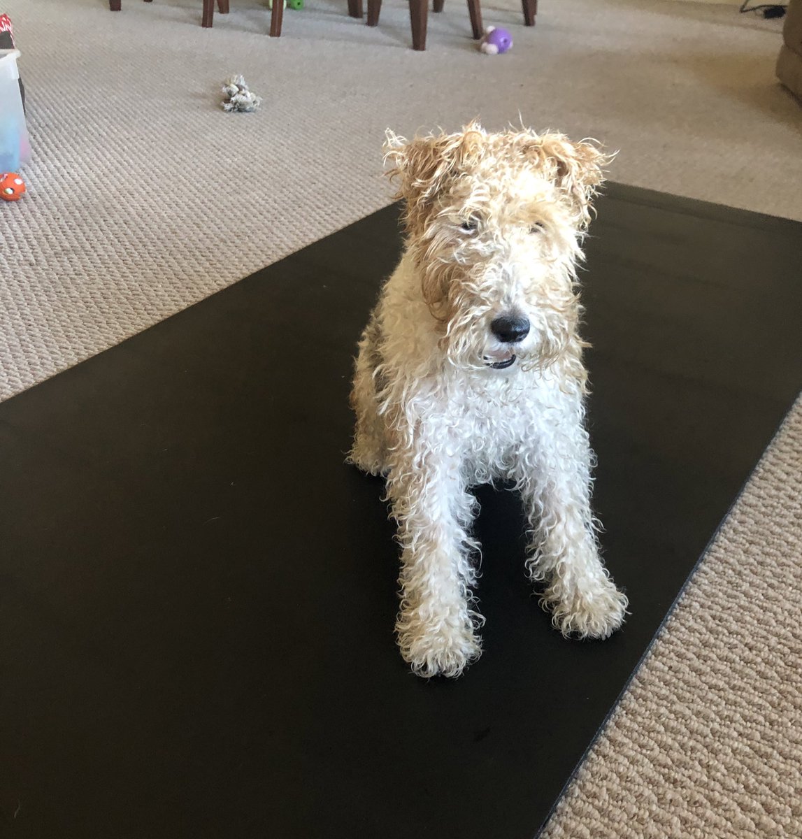 I just had a baff. And a blow dry. It was most humiliating.