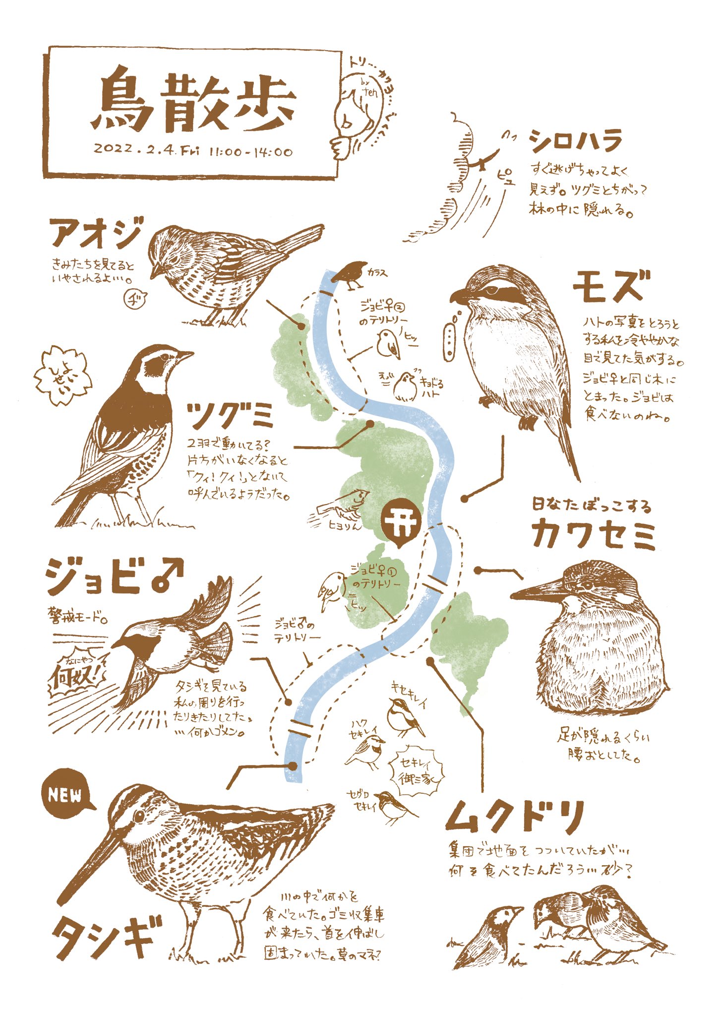 Ten 222 Ar Twitter 鳥散歩 市街地だけど意外と鳥いて嬉しい 野鳥 野鳥イラスト 鳥 鳥イラスト T Co Xmtwcg5l0j Twitter