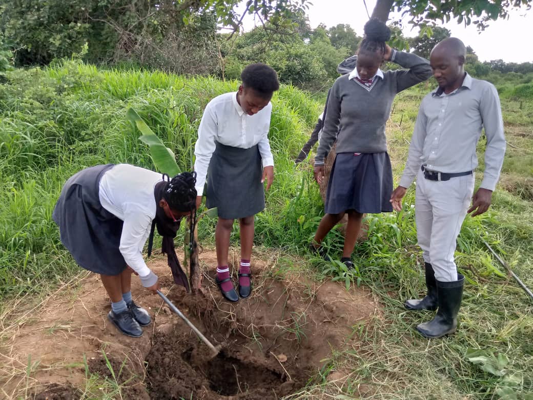 BeAhummingbird's tweet photo. @MukwashiZambia our Agricultural Sciences teacher, Mr. Nice Sichinga and his students got their hands dirty planting: 19 Oranges, 19 Guavas, 5 Tangelos, 5 Nectarines, 11 Lemons, 14 Mangos trees! Just waiting for our avocado trees! https://t.co/oyJb6oRqJC