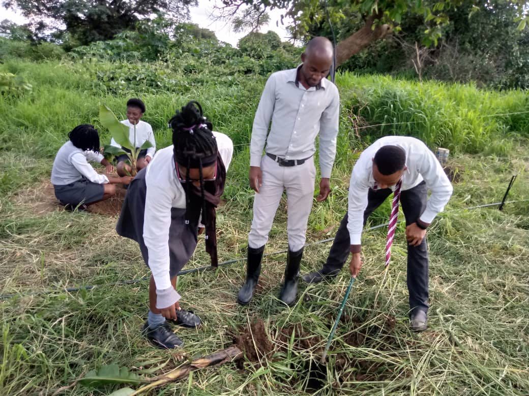 BeAhummingbird's tweet photo. @MukwashiZambia our Agricultural Sciences teacher, Mr. Nice Sichinga and his students got their hands dirty planting: 19 Oranges, 19 Guavas, 5 Tangelos, 5 Nectarines, 11 Lemons, 14 Mangos trees! Just waiting for our avocado trees! https://t.co/oyJb6oRqJC