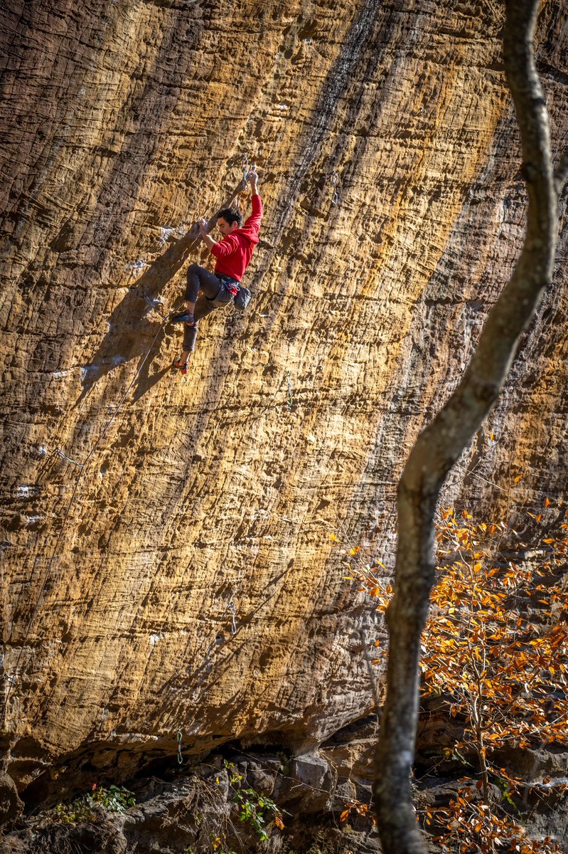 Red river gorge, Kentucky. What a place to climb during the fall. #climbingnfts