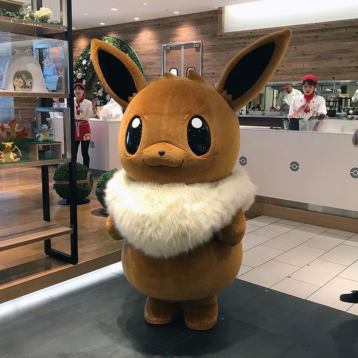 My dream job is to become a Eevee mascot. 