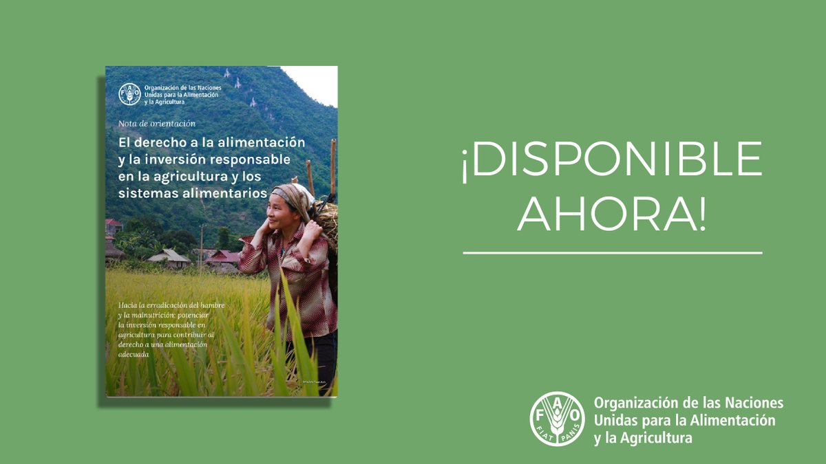 FAOAmericas's tweet photo. 💡Consulta la nueva publicación de la @FAO 

📗"El derecho a la alimentación y la inversión responsable en la agricultura y los sistemas alimentarios"

🔎Leer más:
https://t.co/UAnnWIZlc6 https://t.co/SKPeE8B6S4
