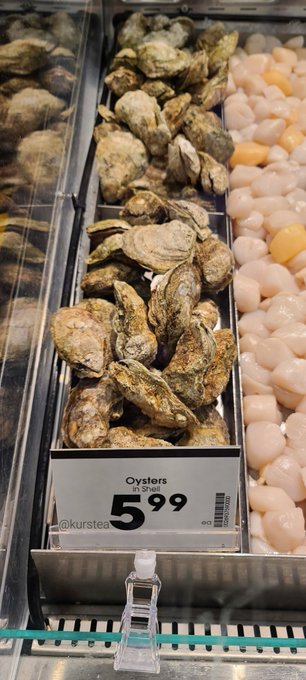 I have a serious question for Kroger.. Are there pearls inside each one of these oysters for $5.99 each<a href="/tag/motivation"class="tags"><span>#motivation</span></a><a href="/tag/workout"class="tags"><span>#workout</span></a><a href="/tag/workoutmotivation"class="tags"><span>#workoutmotivation</span></a>