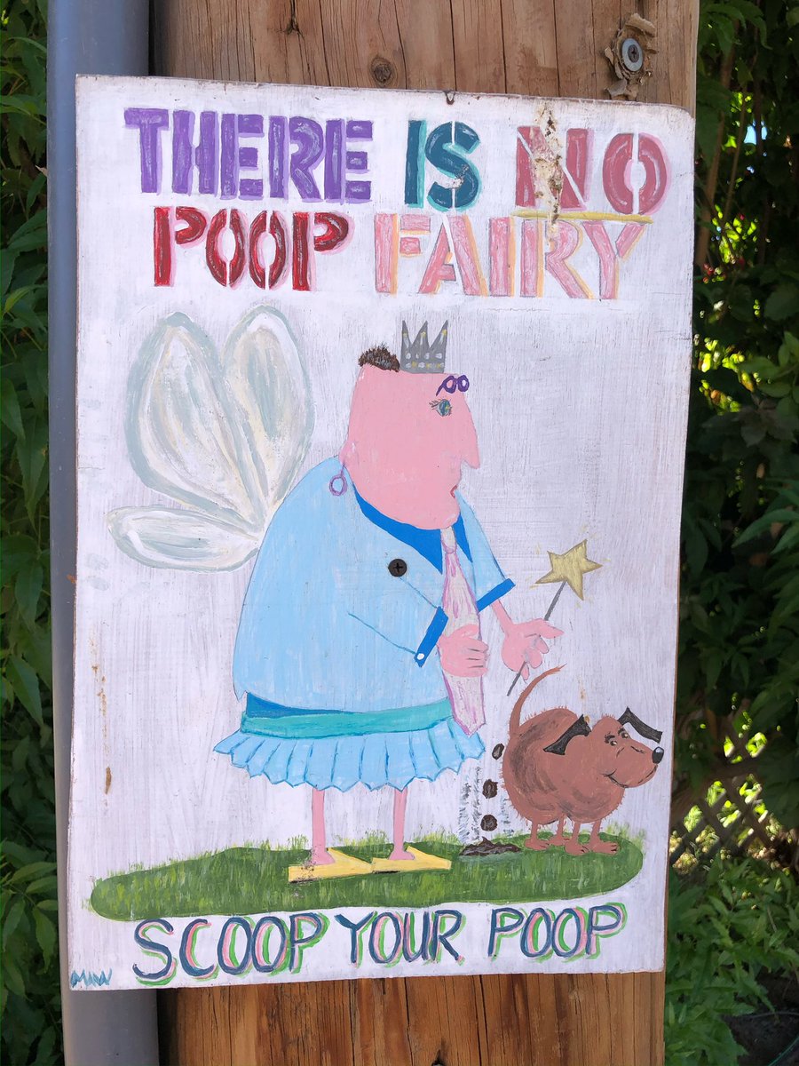 OLearyAni's tweet photo. @jamieleecurtis Hello Jamie, I think we’ve  all been in your “friend’s” predicament. When I can’t find my pup’s phantom poo, I always pick up and toss someone else’s “lost poo” in its stead; my BF lovingly calls me the “poop fairy”. . . I know he loves me for that, which is spectacular karma— https://t.co/A6bYTkPFqf