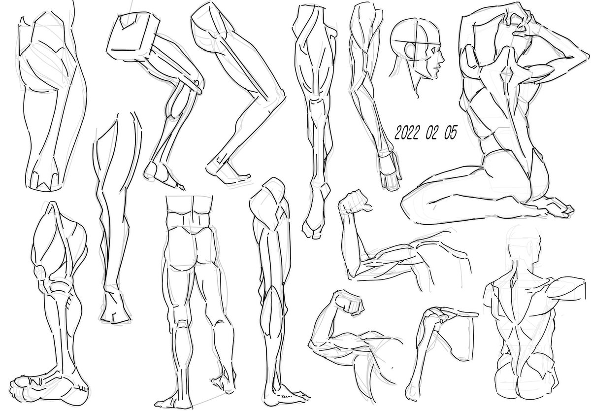 今日はここまでです 