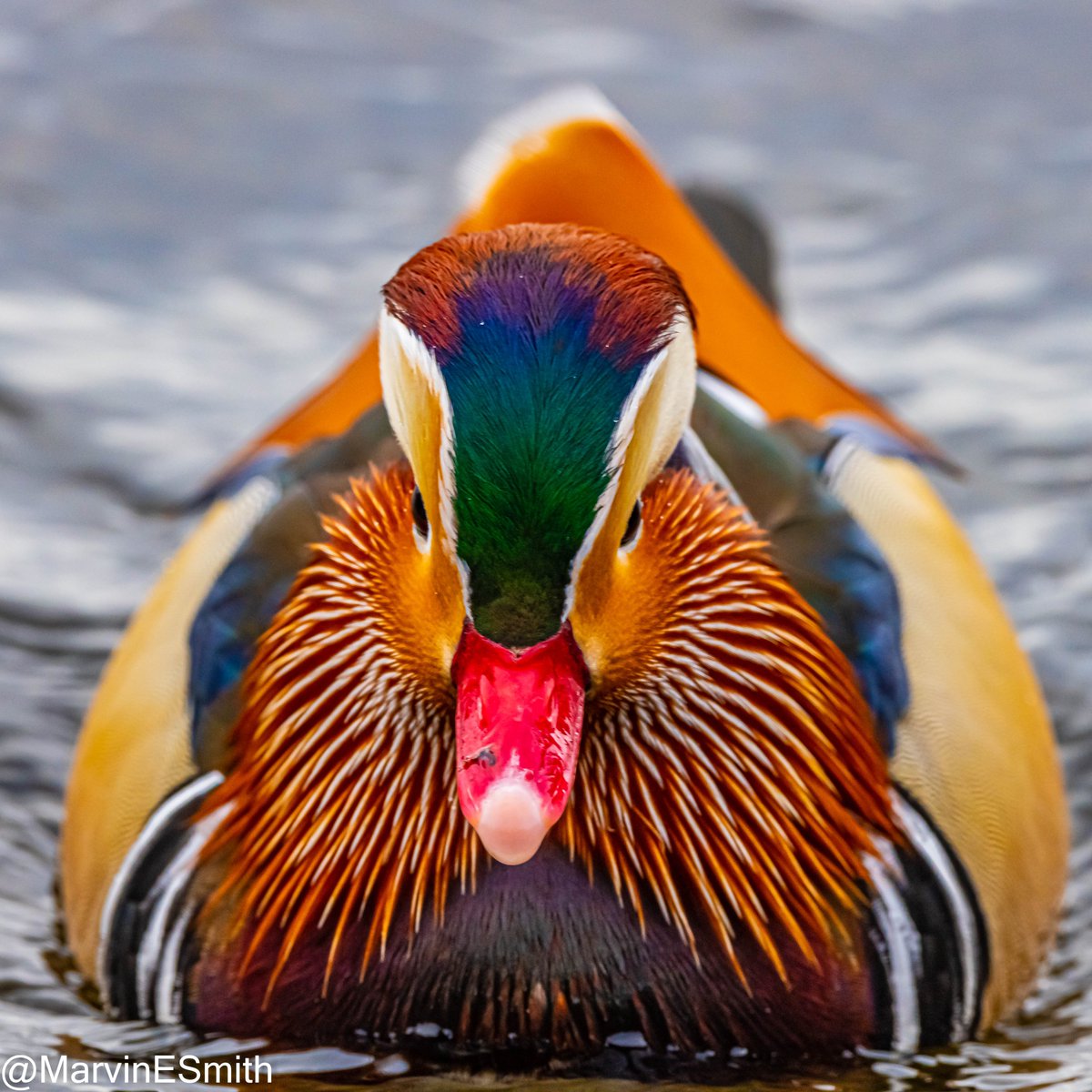 Marvin Smith Photography (@marvinesmith) on Twitter photo 