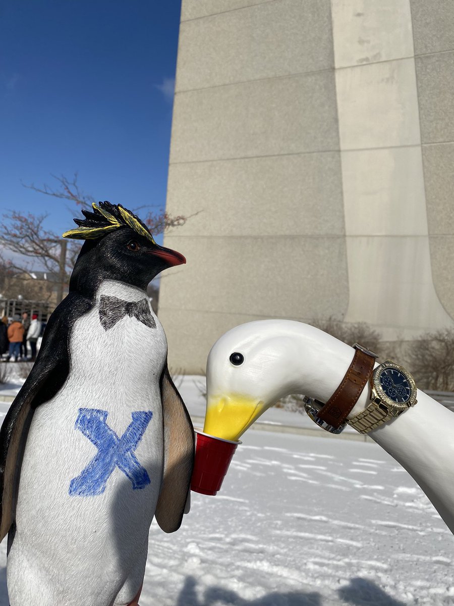 chad_thepenguin's tweet photo. @Danagardens we ready for DePaul @XU_JakeTheGoose is tanking these drinks https://t.co/bGIZyoJSiy
