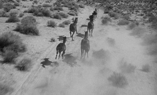 TheCinesthetic's tweet photo. The Misfits (1961) dir. John Huston https://t.co/Hf4KPz62xp