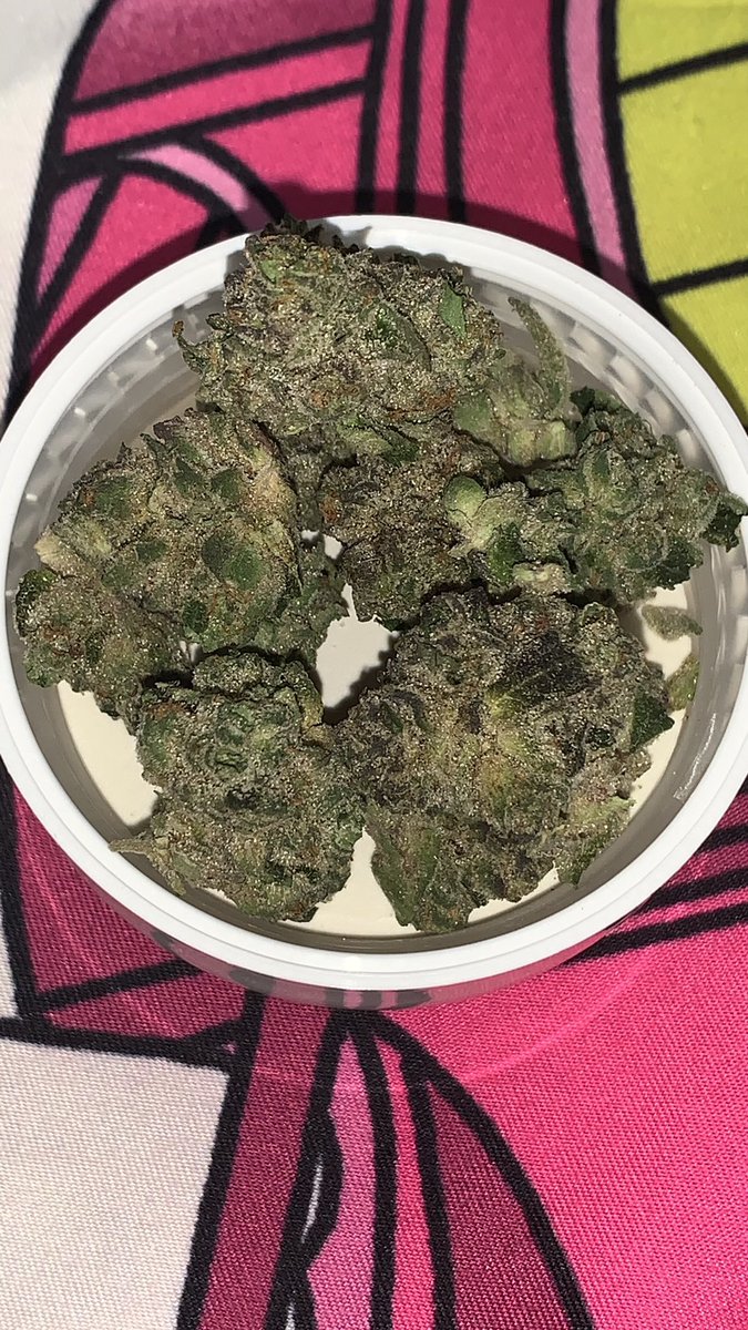 herbit420's tweet photo. New Kush Mints #cultivarcollected @Trulieve https://t.co/BuLUS4IWzV