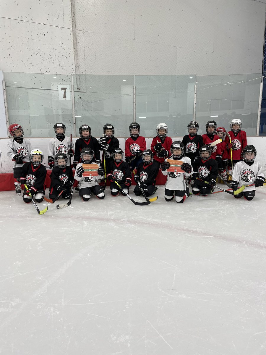 MathieuGravel19's tweet photo. Voici les cougars qui partagent le mouvement #OnVeutJouer https://t.co/mFFVDNya9h