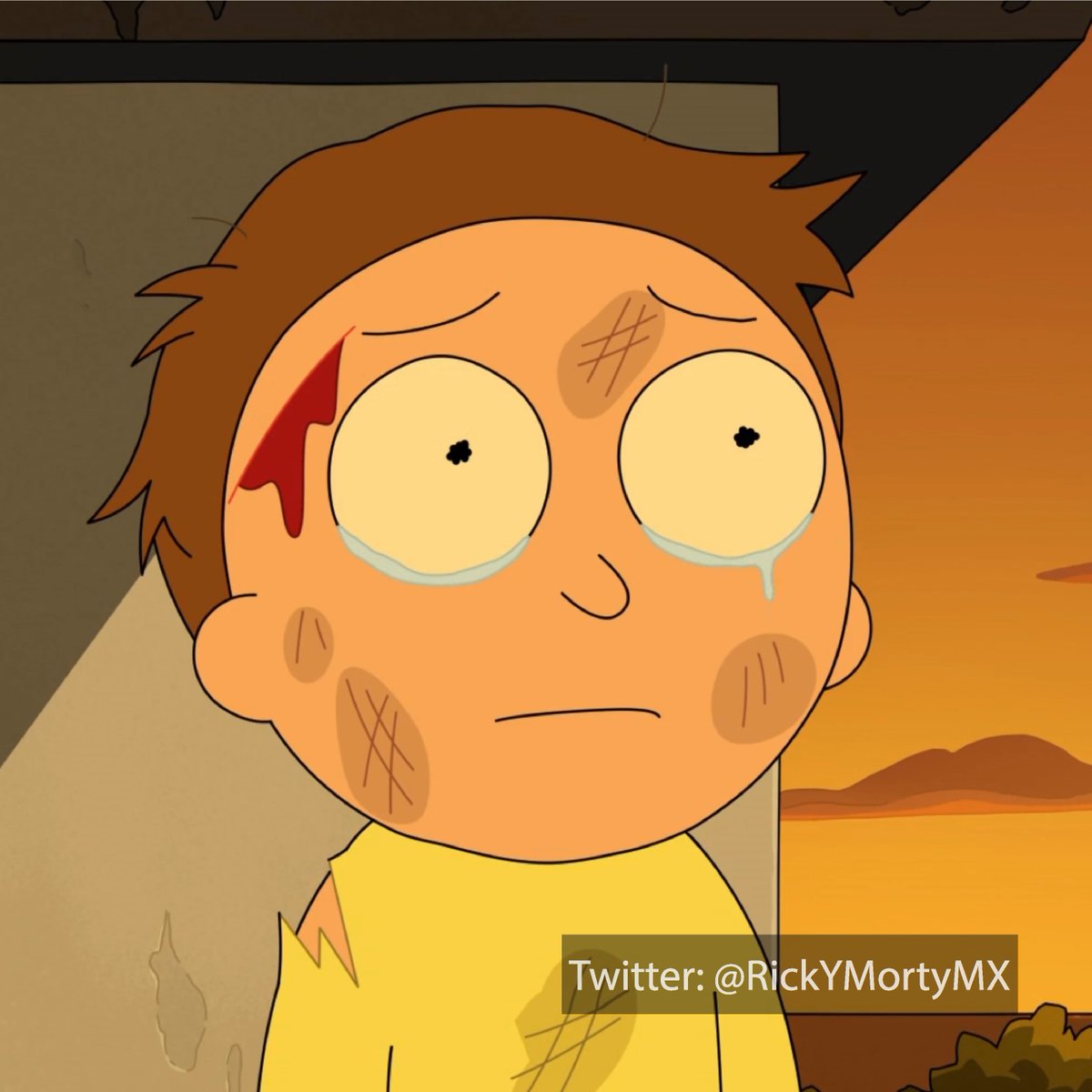 Yo Febrero 2019 // Yo Febrero 2022: