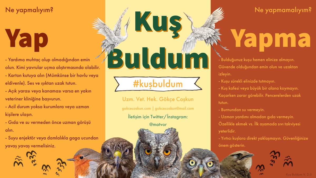 Hepimiz yardıma muhtaç bir kuşla karşılaşabiliriz. Peki bir kuş bulduğunuzda ne yapmanız ve ne yapmamanız gerektiğini biliyor musunuz? Ne yazık ki yanlış müdahaleler sonucunda onları kaybedebiliyoruz. Oysa küçük bir bilgi hayat kurtarabilir.🪶🆘 #kuşbuldum
