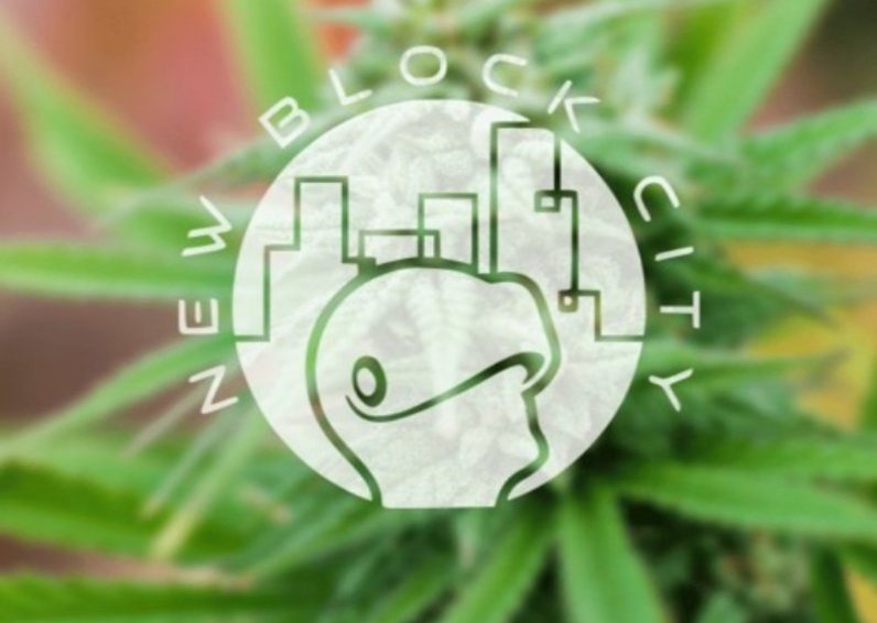 In New Block City <a href="/TheTokenProject/">TOKE.N</a> nft holders will be able to grow hemp that will be used for building materials, food, and medicine. These materials will then be able to be sold and traded 💸🤑🤑🤑#BSC #Binance #BNB #BinanceSmartChain