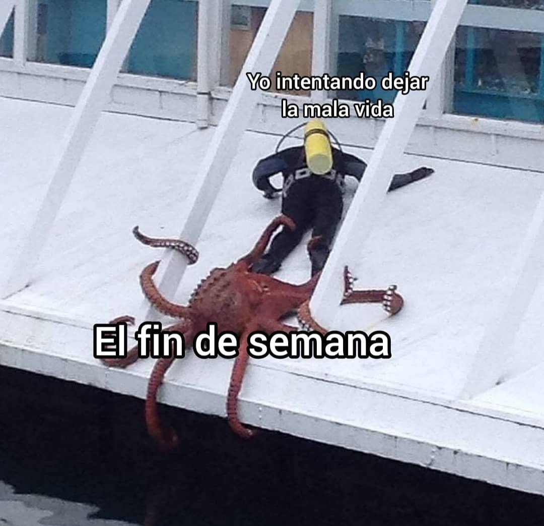 Jesús Lara (@jesuuus_lara7) on Twitter photo 