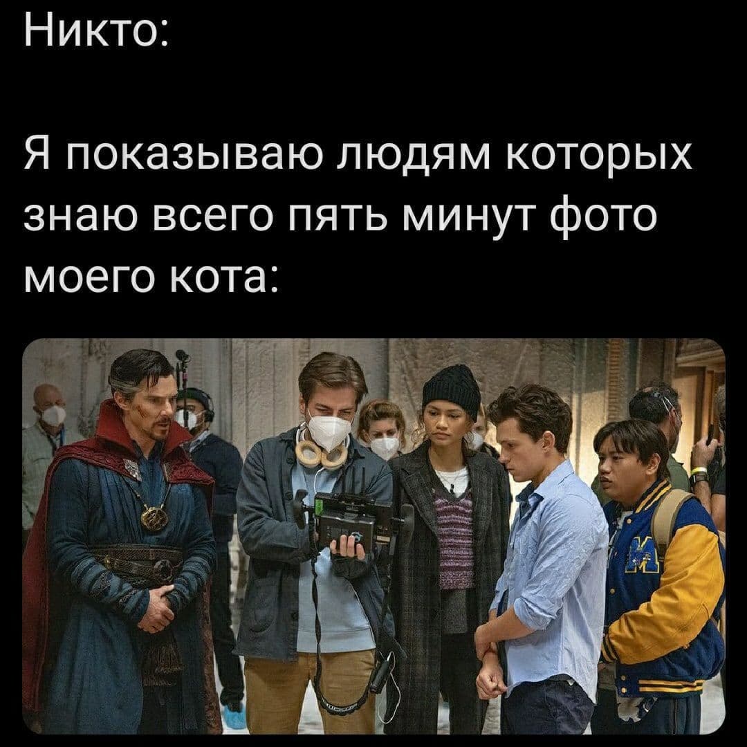 RussianMemesLtd's tweet photo. no one:

me showing my cat photos to people I only know for 5 minutes: https://t.co/MyUc8D40xn