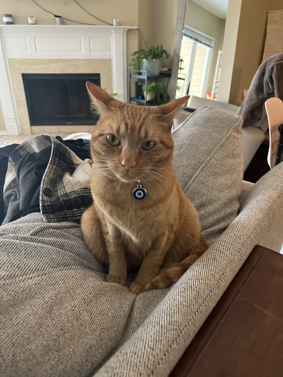 chedstack's tweet photo. so what ,I sit like a Forg sometime https://t.co/06xoD8sfph