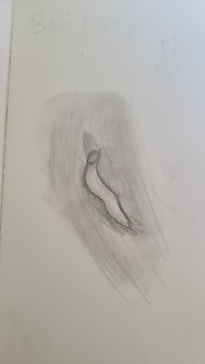 nsfw_luka's tweet photo. these suck but they were my first tries so i don't feel bad (also perspective and shading is hard lol) https://t.co/d6FrW5CmRz