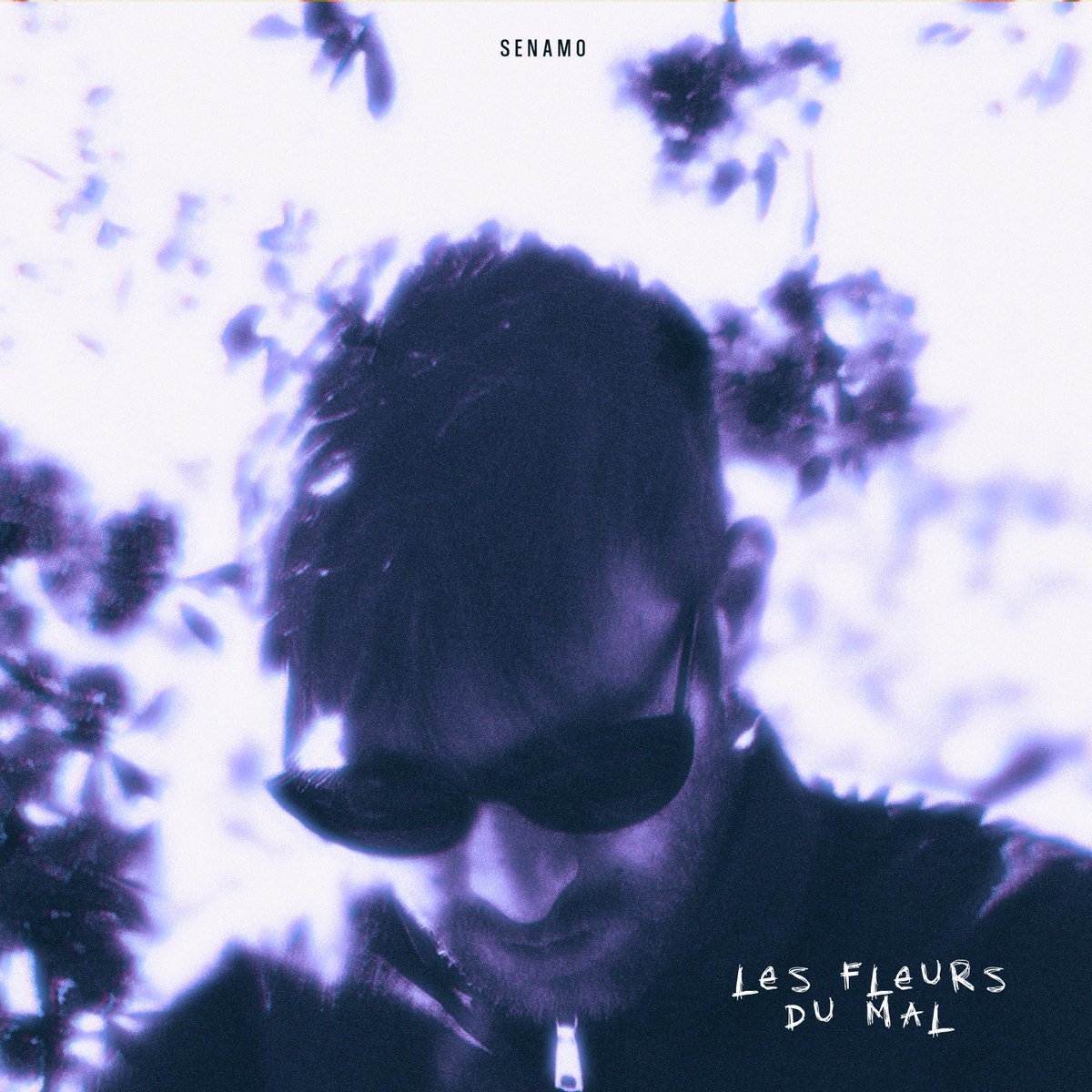 <a href="/SenamoLaSmala/">Senamo</a>  - Fleurs du mal 🌸 

Cover officielle                        Ma cover alternative