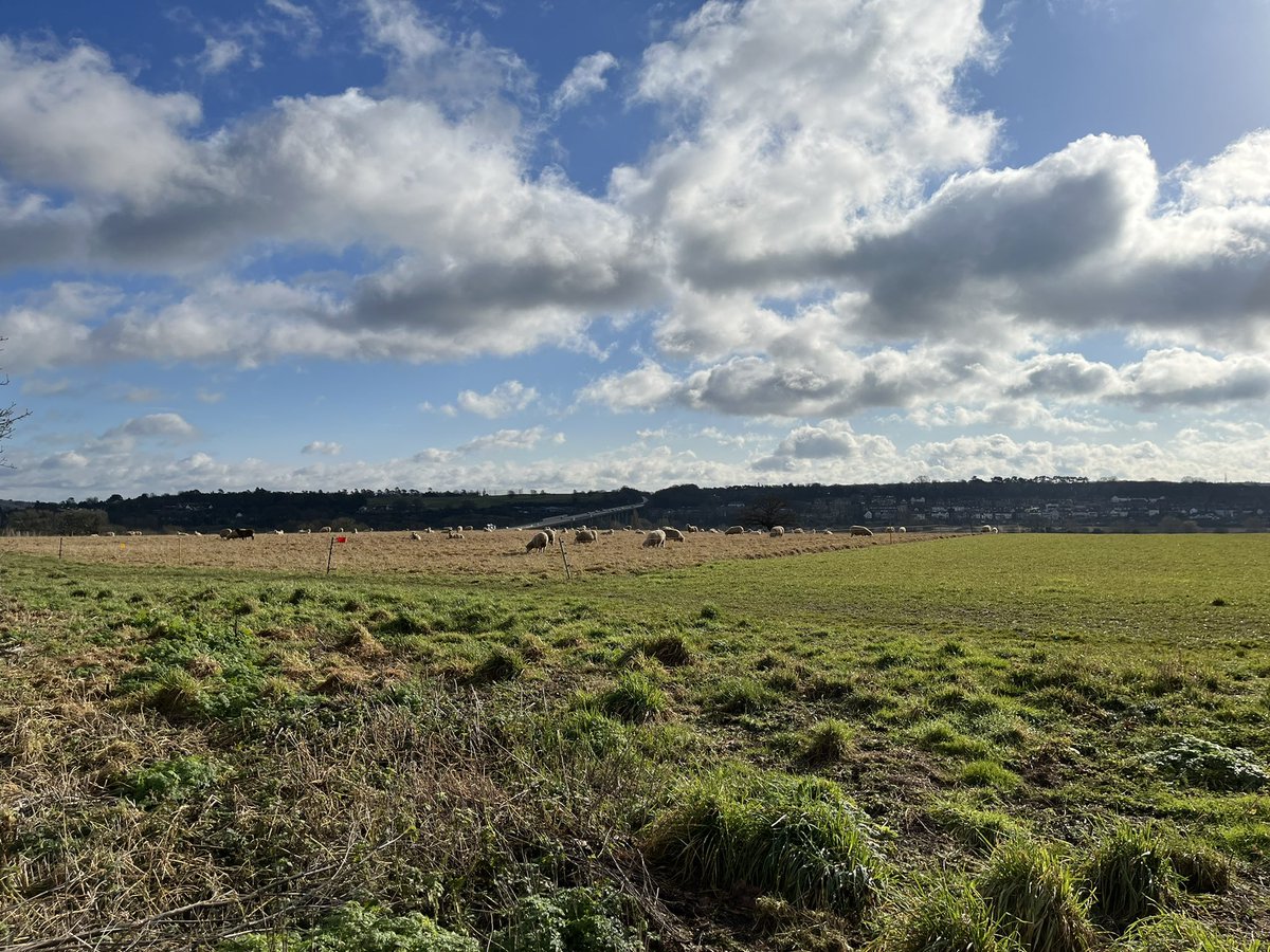 Beauty of a walk…