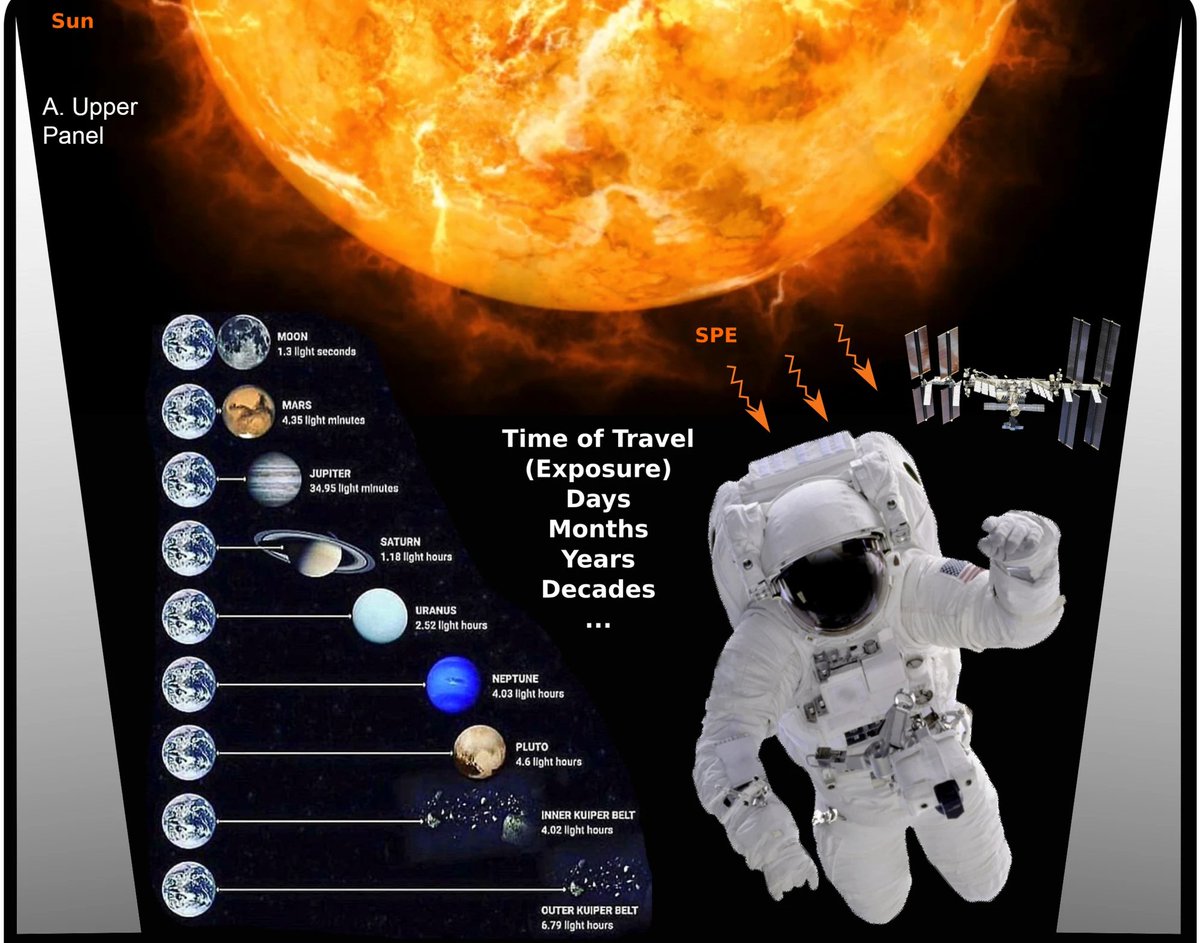 MesenchymalCell's tweet photo. #MSCs in Space? 🌌🛰️
This review gives an outline on the clinical need and practical considerations to #MSCTherapy as enabling technology for long-distance manned #SpaceTravel.
Read it here: https://t.co/FsDFethJtm https://t.co/WdJek7RAsj