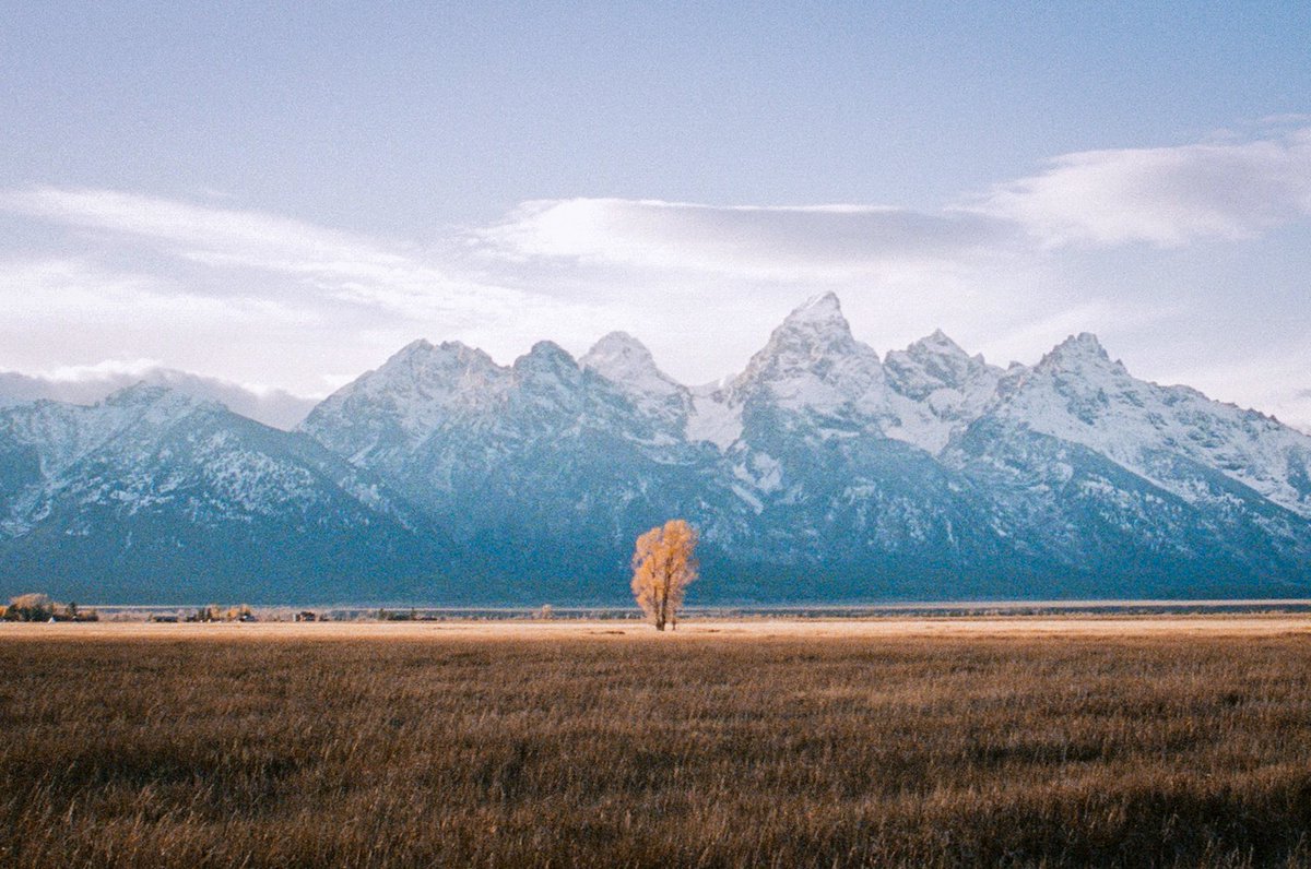 jakob_lr's tweet photo. photos I took in the mountains 🎞 https://t.co/f5ItrVgDUg